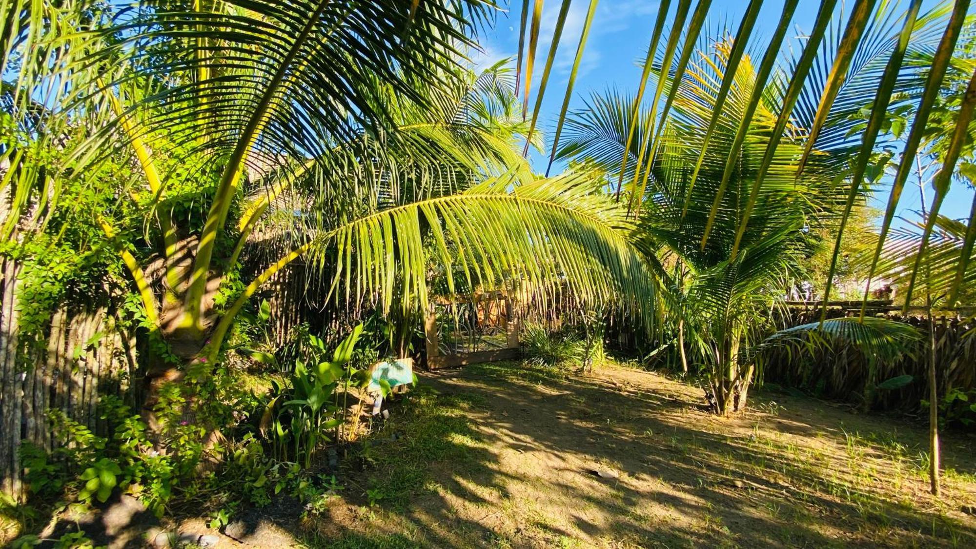 Calypso Cabanas El Paredón Buena Vista Kültér fotó