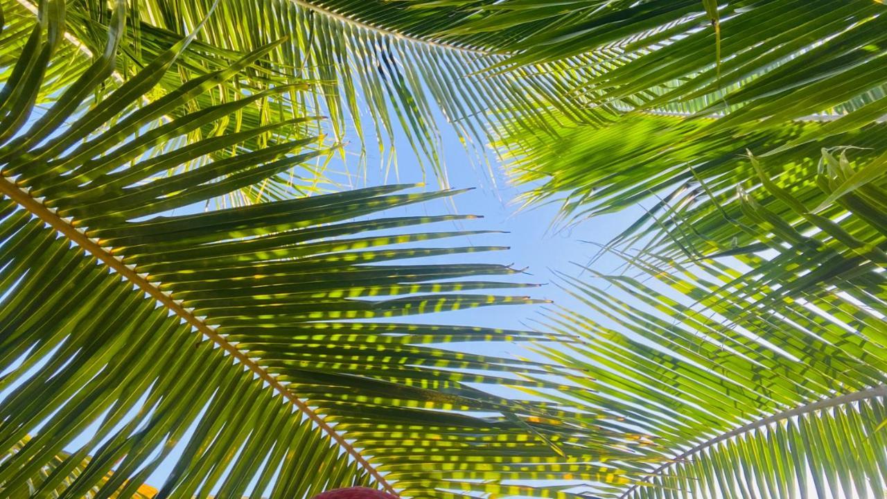 Calypso Cabanas El Paredón Buena Vista Kültér fotó