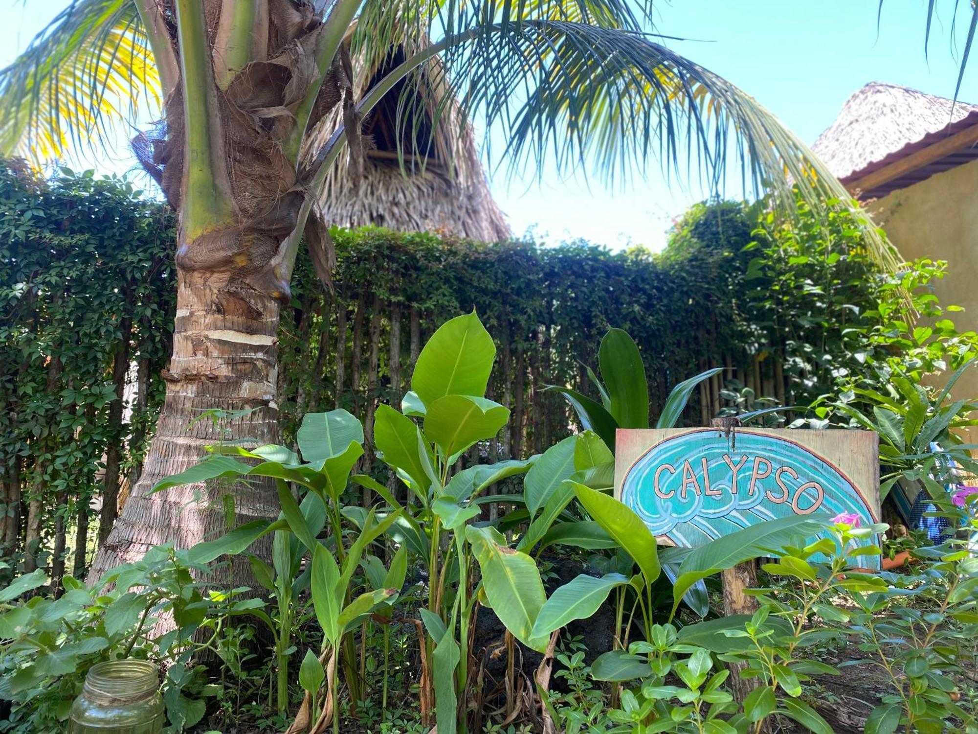 Calypso Cabanas El Paredón Buena Vista Kültér fotó